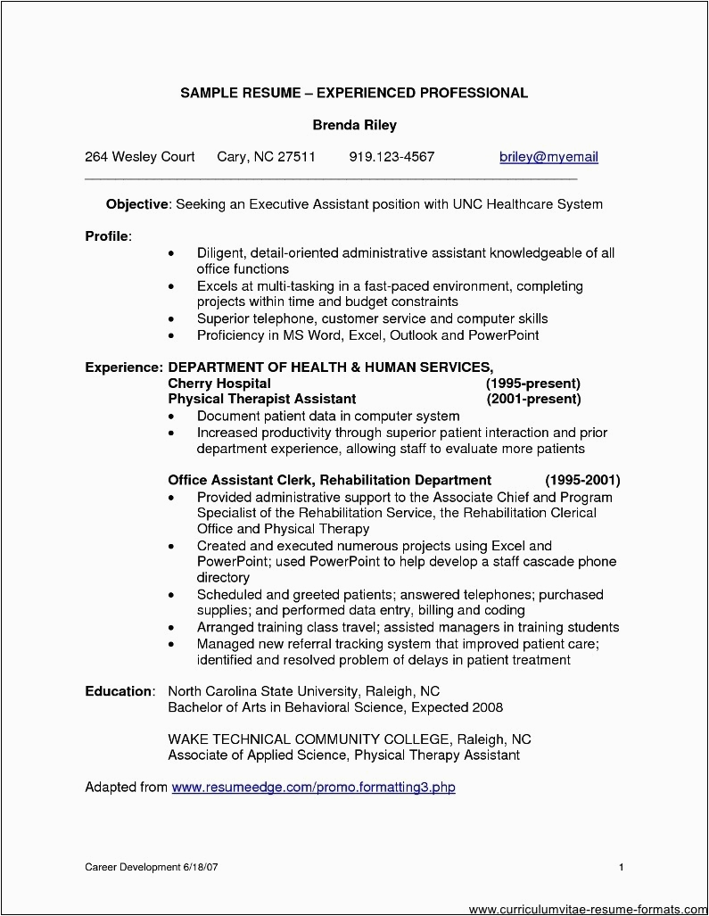 Sample Resume format for Experienced It Professionals Sample Resume format for Experienced It Professionals