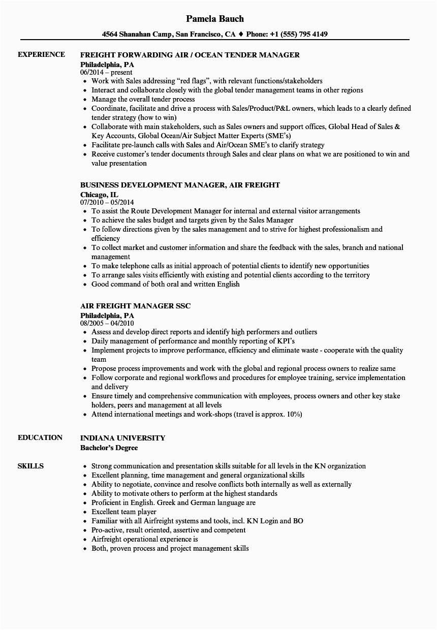 Sample Resume Sales Executive Freight forwarding Air Freight Manager Resume Samples
