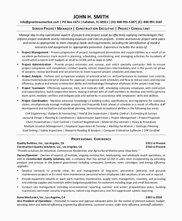 Sample Resume Senior Project Manager Construction Free 8 Sample Project Management Resume Templates In Pdf
