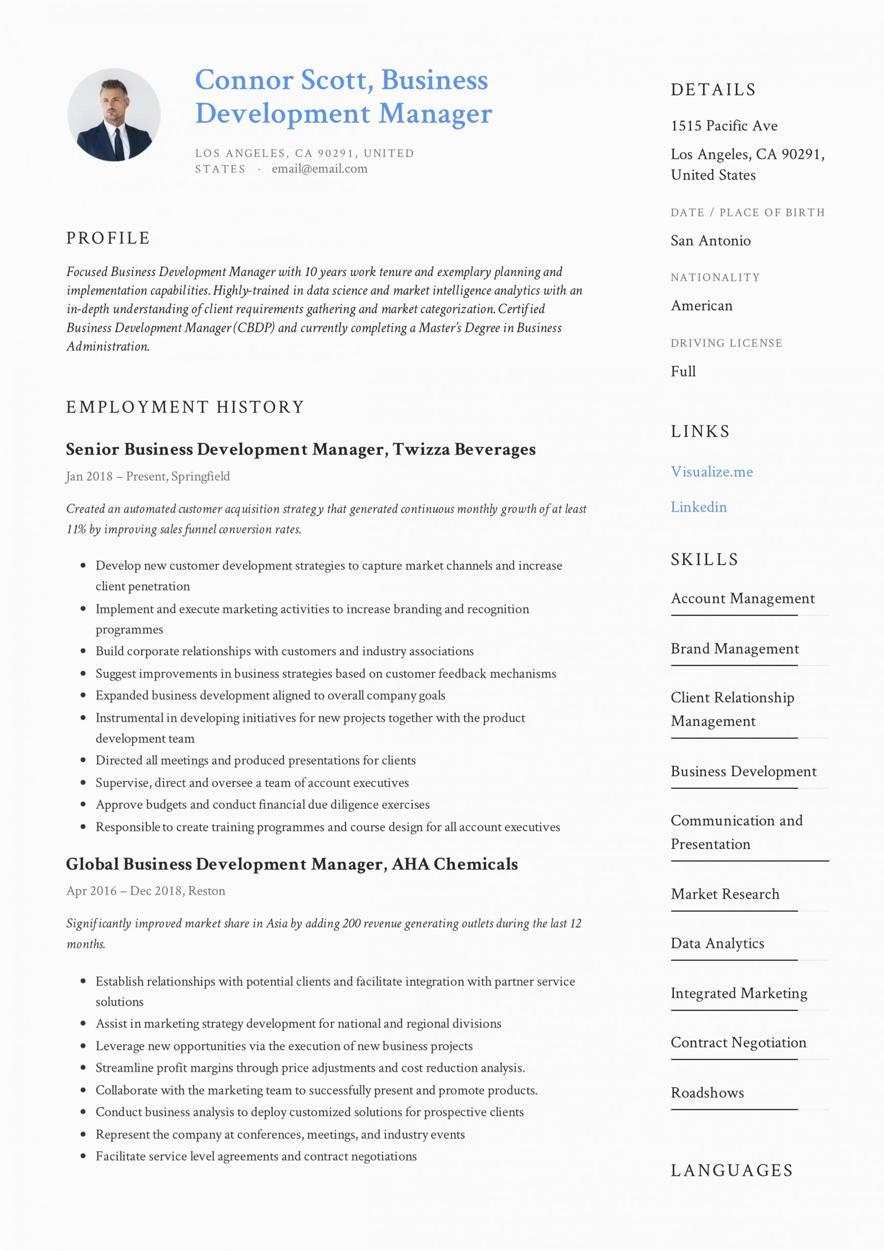 Business Development Manager Achievements Sample Resume Business Development Manager Resume & Guide