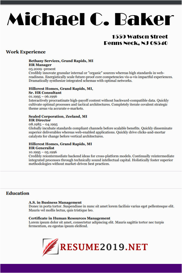 Job Seeker Resume Cv Samples 2019 Professional Resume Examples 2019 ⋆ Best Resume 2019