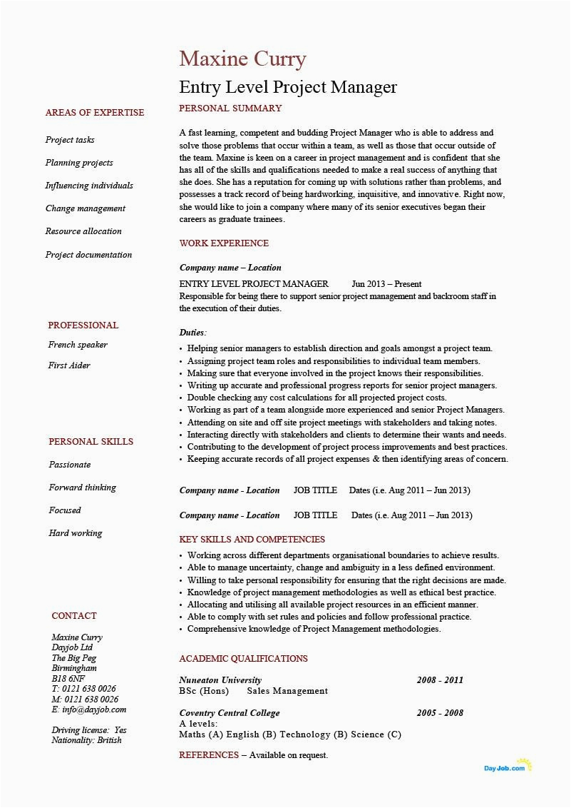 Junior Project Manager Resume Sample Doc Junior Project Manager Resume Examples Best Resume Examples