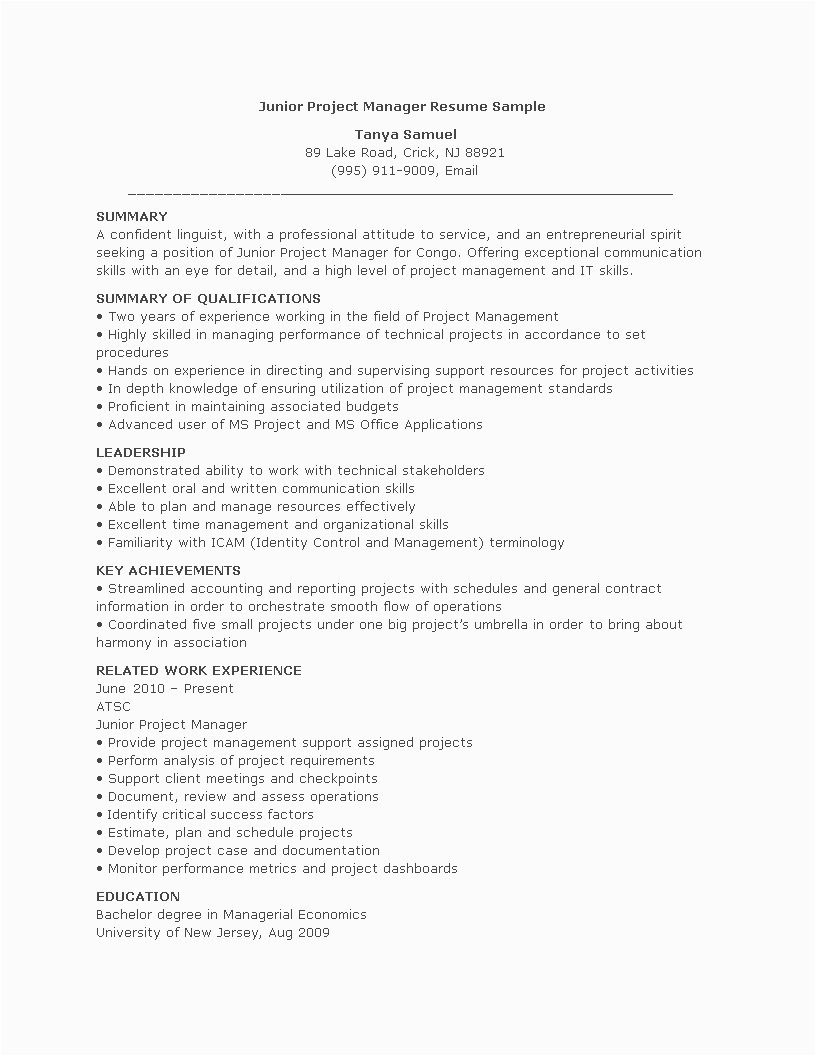 Junior Project Manager Resume Sample Doc Junior Project Manager Resume