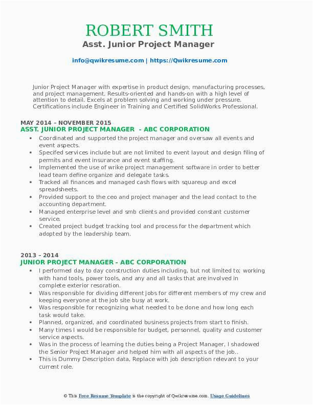Junior Project Manager Resume Sample Doc Junior Project Manager Resume Samples