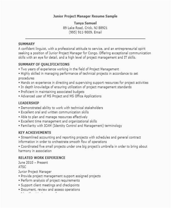 Junior Project Manager Resume Sample Doc Manager Resume Sample Template 48 Free Word Pdf