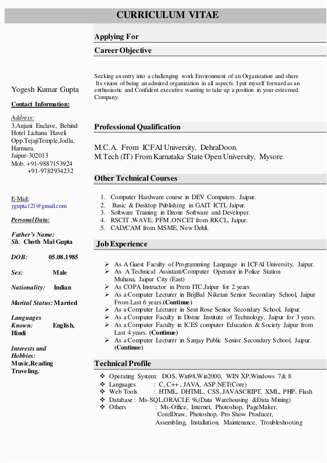 Sample Resume for Computer Science Faculty Resume for Puter Science Faculty