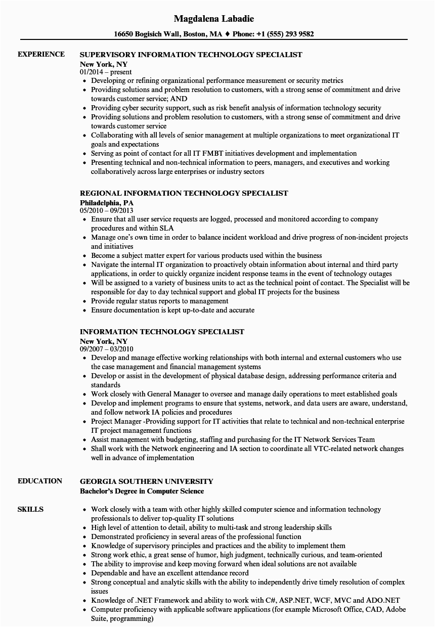 Sample Resume for Information Technology Specialist 8 9 Resumes for Information Technology