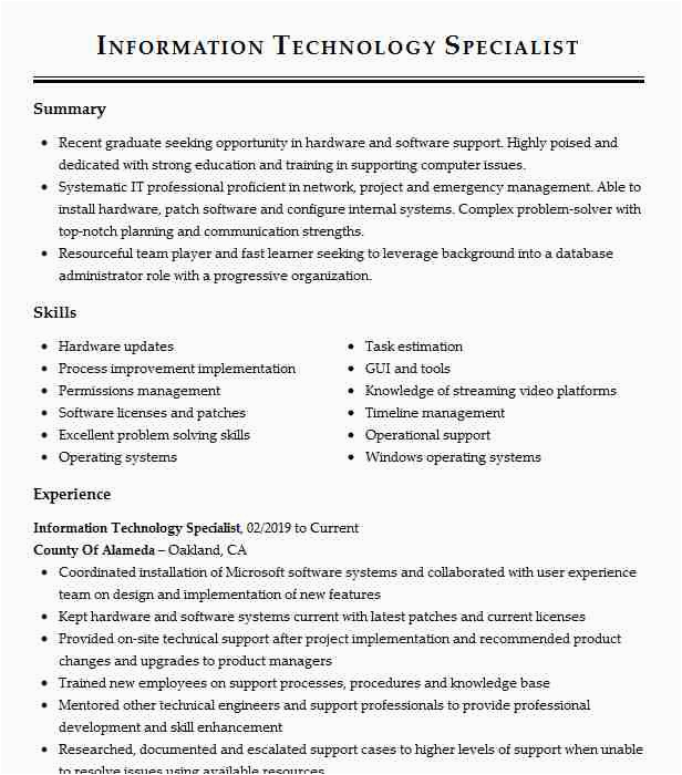 Sample Resume for Information Technology Specialist Information Technology Specialist Resume Example Dod Air