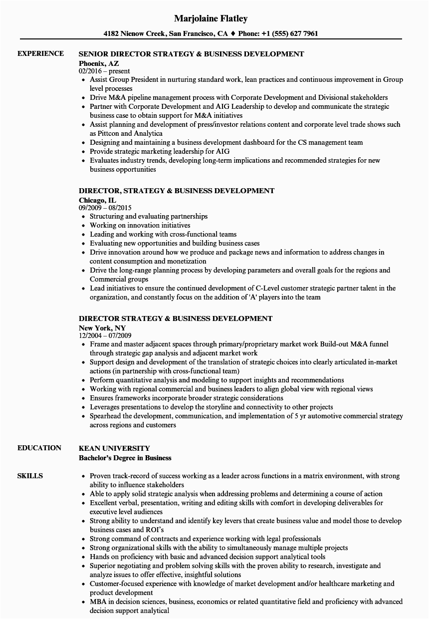 Sample Resume for International Development Jobs Director Business Development Job Description