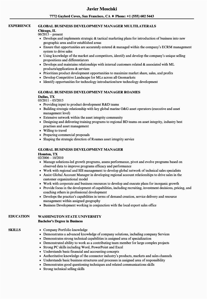 Sample Resume for International Development Jobs Global Business Development Manager Resume Samples