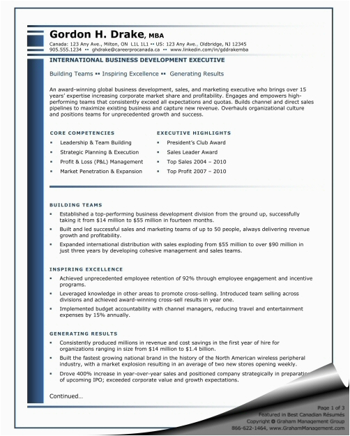 Sample Resume for International Development Jobs International Business Development Executive Resume