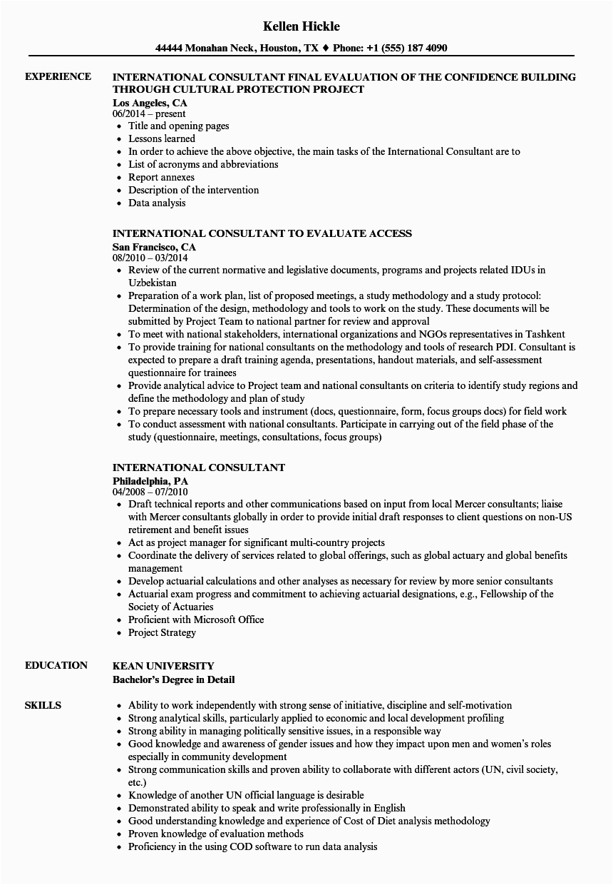 Sample Resume for International Development Jobs International Consultant Resume Samples