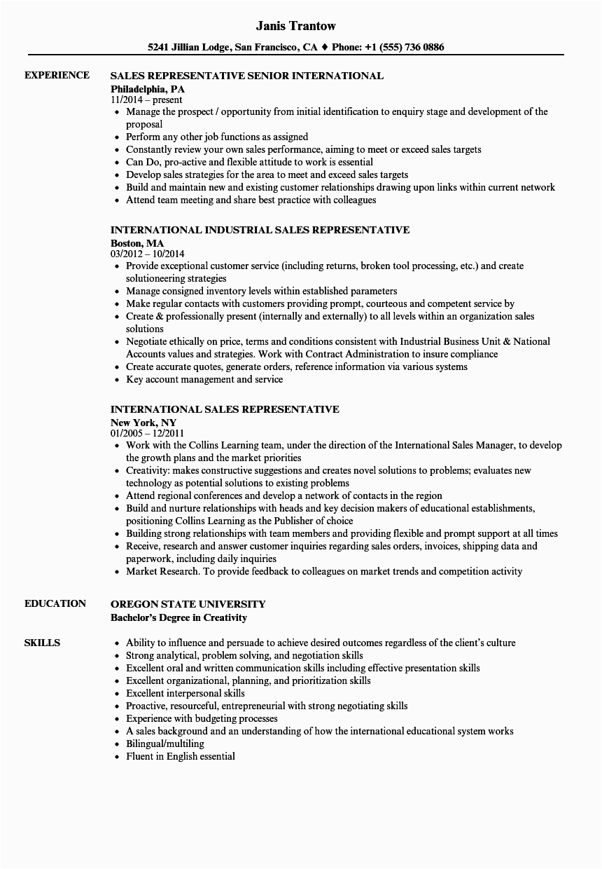 Sample Resume for International Development Jobs International Job Cv the 20 Best Cv Examples for Your