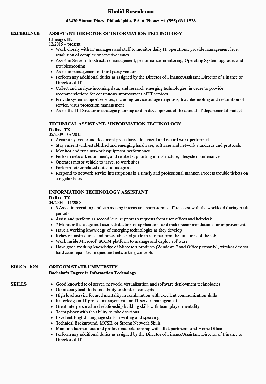 Sample Resume for Internship In Information Technology Information Technology assistant Resume Samples