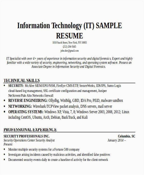 Sample Resume format for It Professional 24 It Resume Templates Pdf Doc