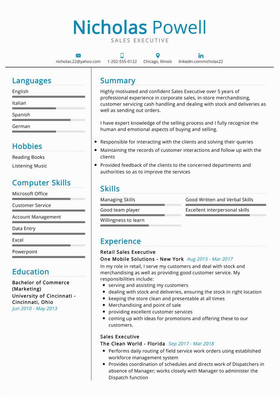 Sample Resume format for Sales Executive Sales Executive Resume Example