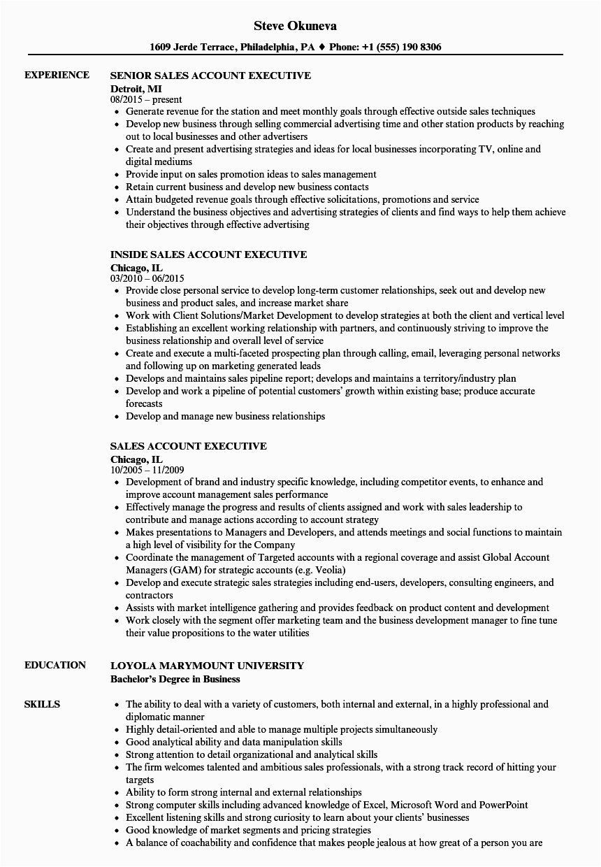 Sample Resume format for Sales Executive Sales Executives Resume Sales Executive Resume Sample