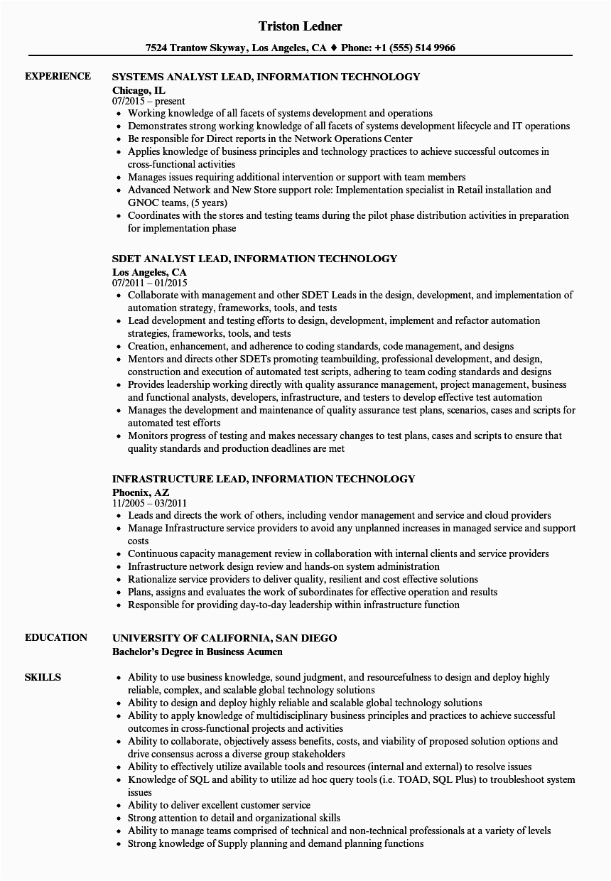 Sample Resume Objective for Information Technology Information Technology Resume Objective Examples It