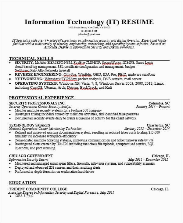 Sample Resume Template for It Professional 40 Simple It Resume Templates Pdf Doc
