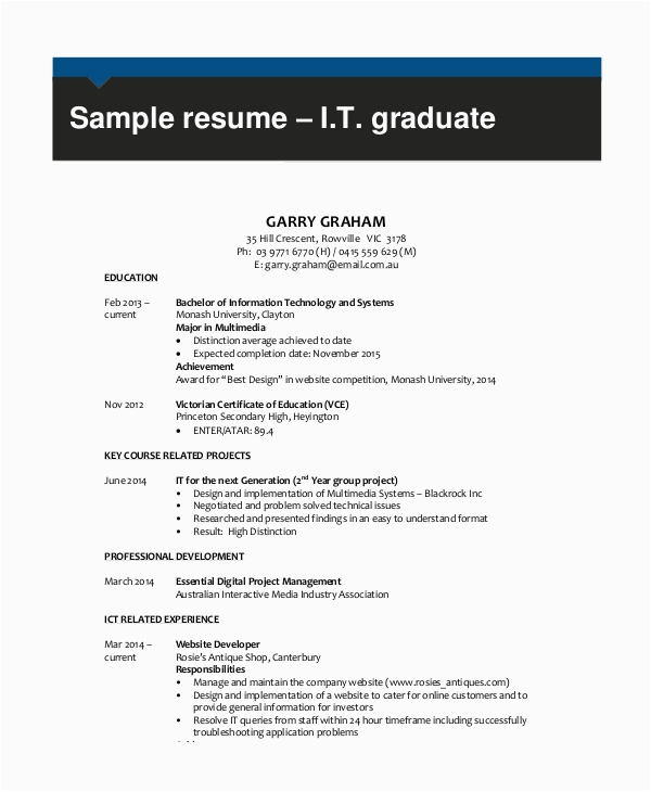 Sample Resume Template for It Professional Free 12 Sample It Resumse In Pdf