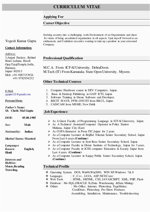 Sample Resume for assistant Professor In Computer Science Resume for Puter Science Faculty