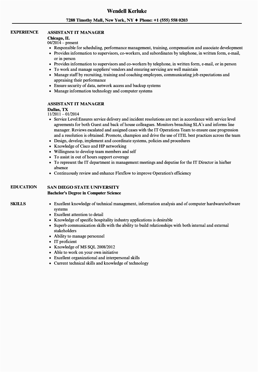 Sample Resume for It Manager Position assistant It Manager Resume Samples
