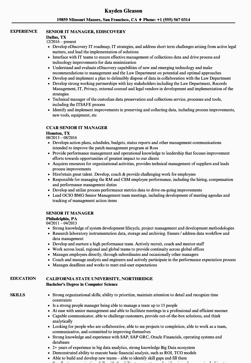 Sample Resume for It Manager Position Senior It Manager Resume Samples