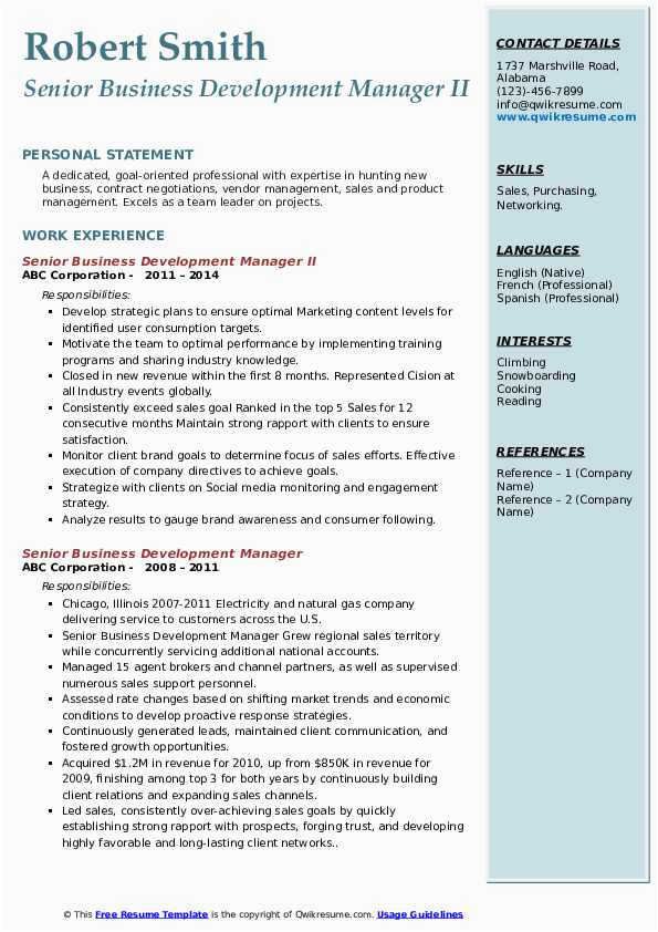Sample Resume for Senior Business Development Manager Senior Business Development Manager Resume Samples