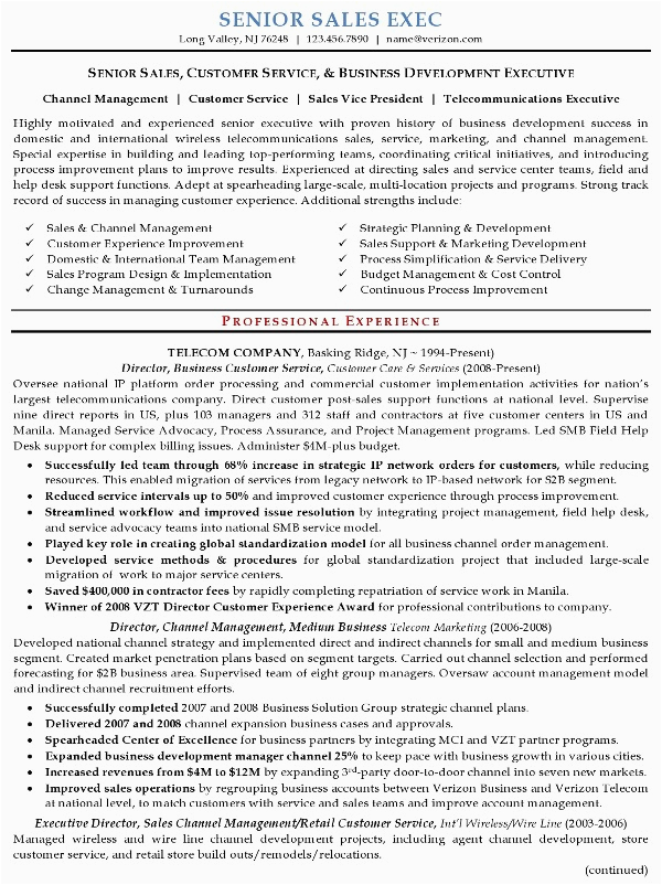 Sample Resume for Senior Sales Executive Resume Sample 16 Senior Sales Executive Resume Career