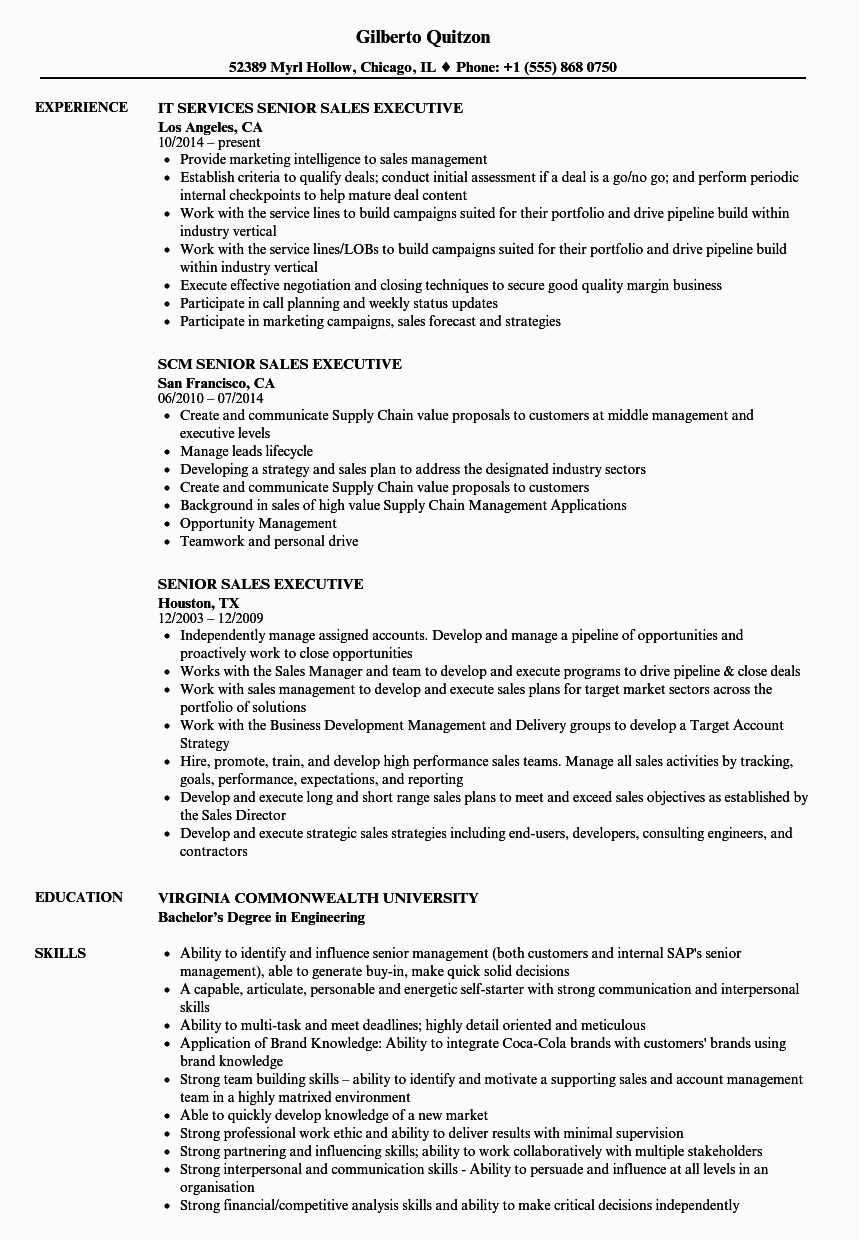 Sample Resume for Senior Sales Executive Senior Sales Executive Resume Samples
