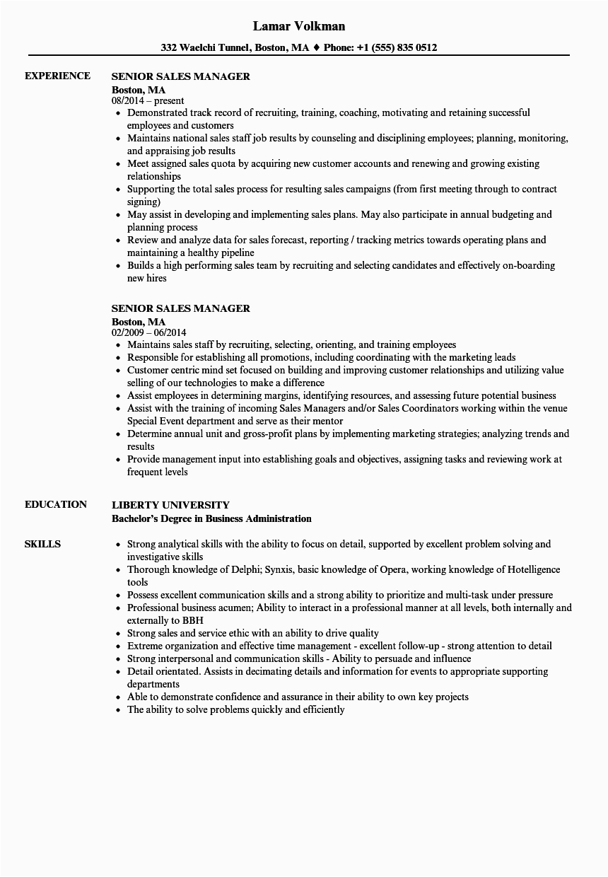 Sample Resume for Senior Sales Professional Senior Sales Manager Resume Samples Sample Resume for Senior Sales Professional Senior Sales Manager Resume Samples