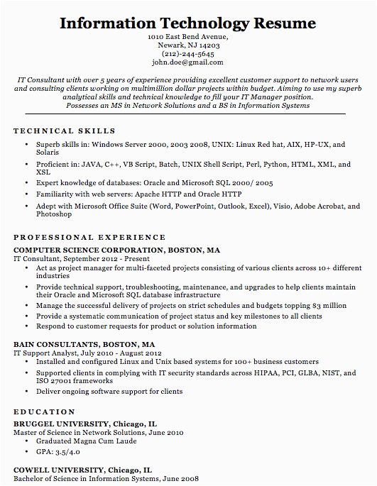 Free Sample Resume for Experienced It Professional It Professional Resume Samples top form Templates