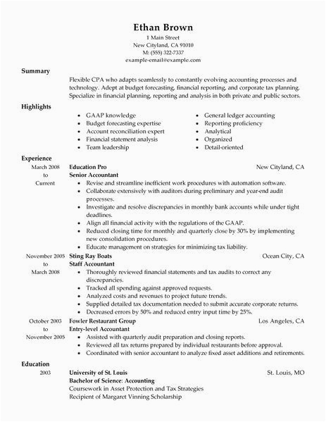 Sample Resume Big 4 Accounting Firm Big 4 Cv Template Resume Examples