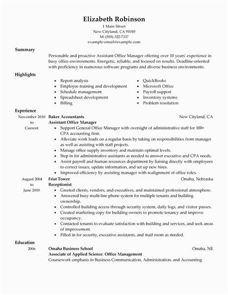 Sample Resume Big 4 Accounting Firm Resume Examples Big 4 Accounting Resume Examples