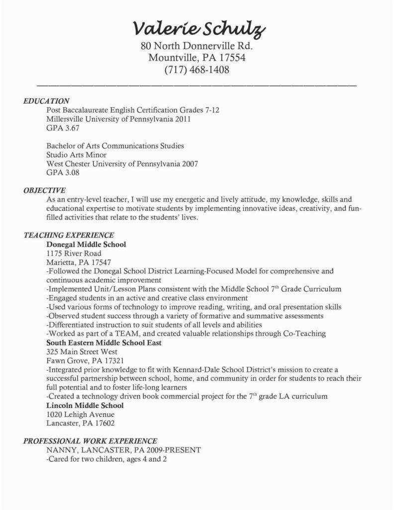 Sample Resume Child Care Worker Australia 12 Child Care Resumes Examples Radaircars