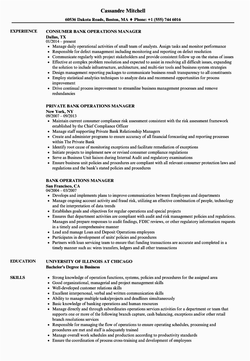 Sample Resume for Banking Operations Manager It Operations Manager Job Description Free Resume Templates