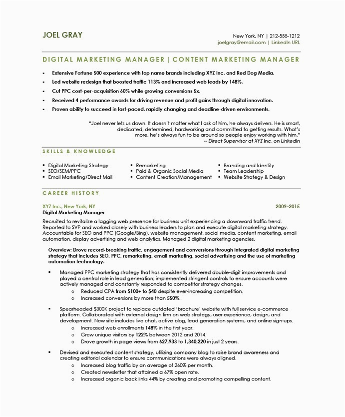 Sample Resume for Digital Marketing Executive Digital Marketing Executive Cv Example