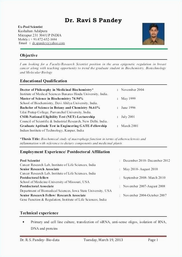 Sample Resume for Lecturer Position In University Inspiring University Lecturer Cv Template Picture Ai