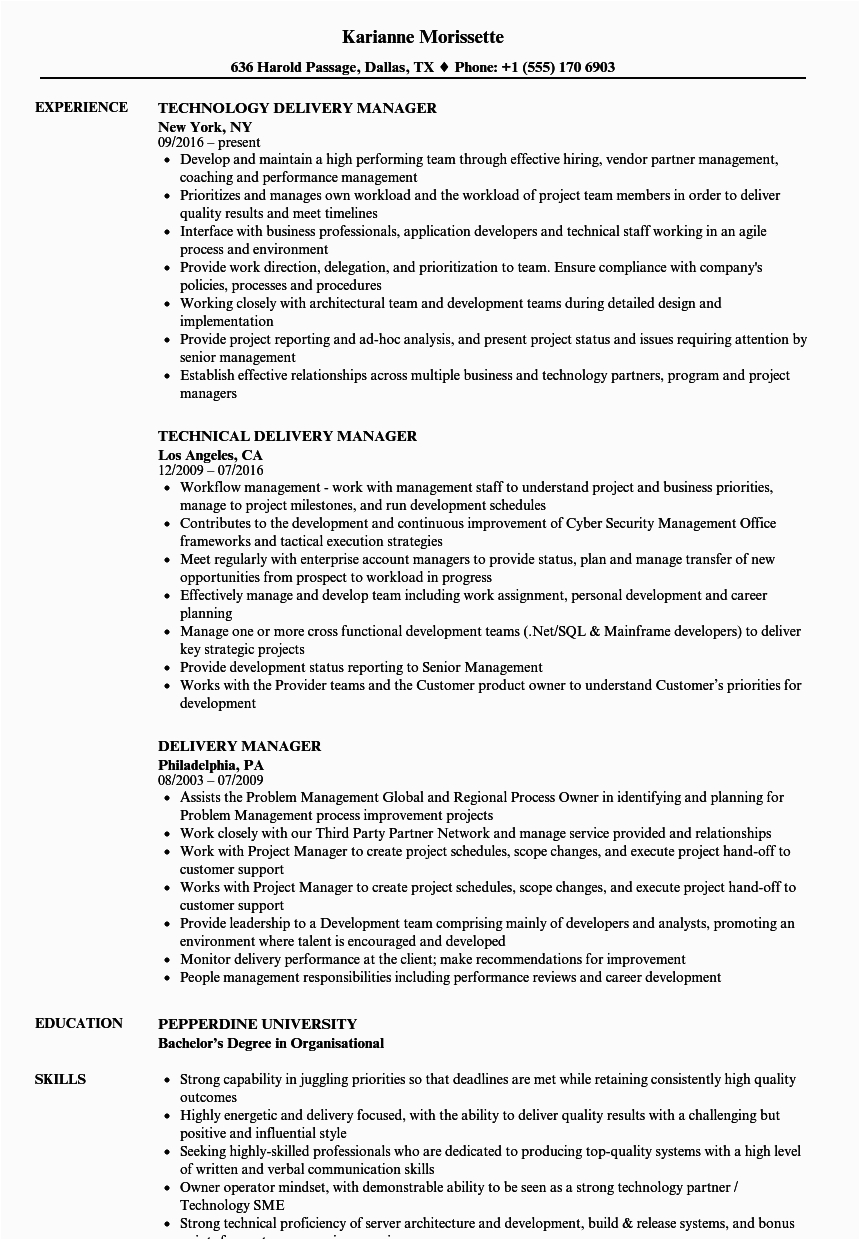 Sample Service Delivery Manager Resume Download Service Delivery Manager Resume – Benzoh