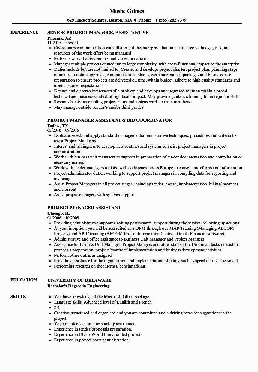 Assistant Construction Project Manager Resume Samples Great assistant Project Manager Cv Example Addictips