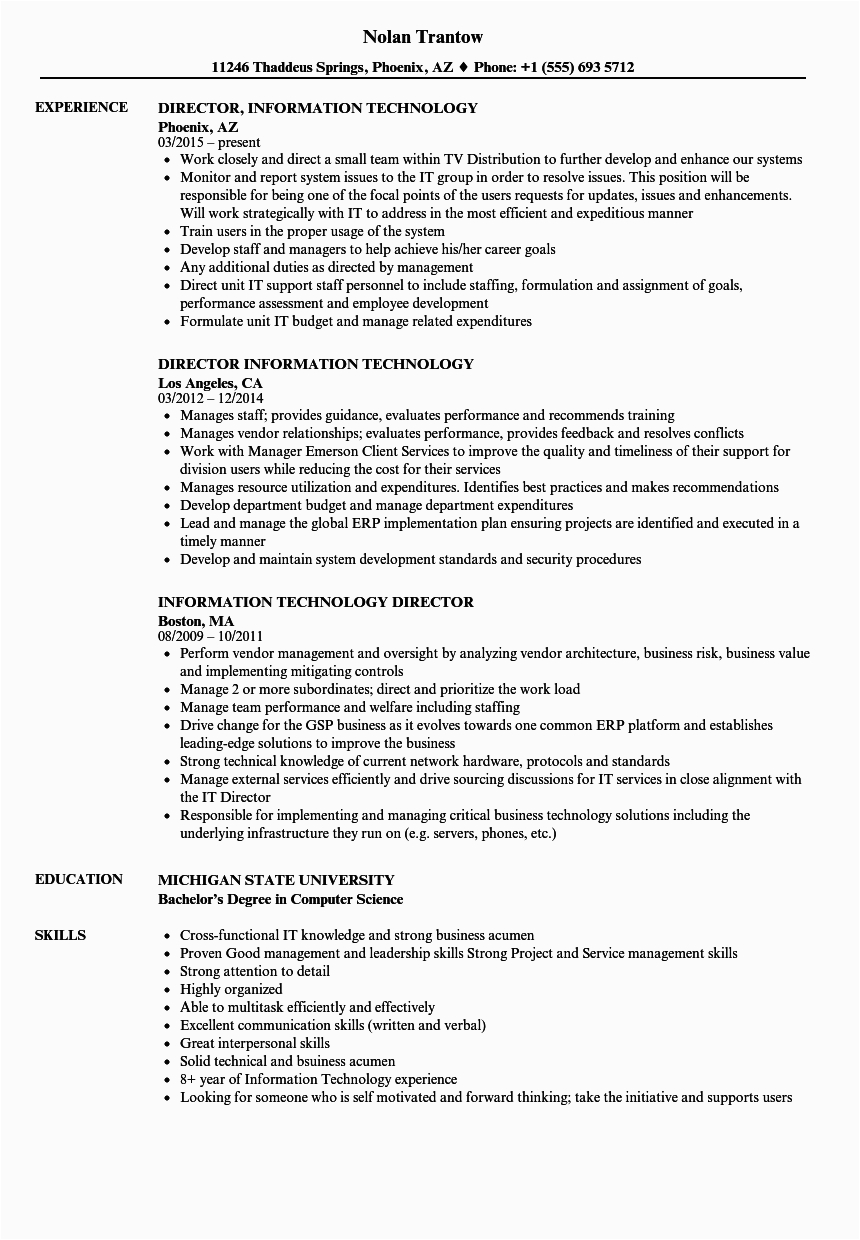 Director Of Information Technology Resume Sample 14 15 Puter Technology Resume southbeachcafesf