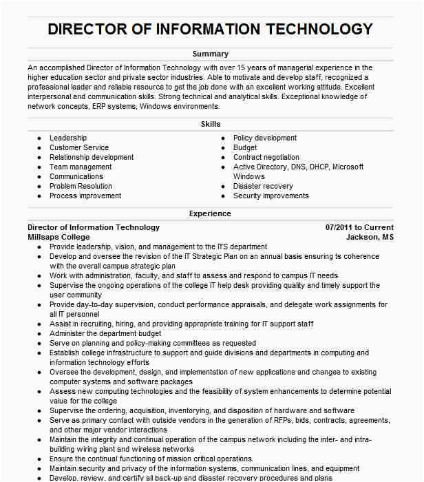 Director Of Information Technology Resume Sample Director Information Technology Resume Example