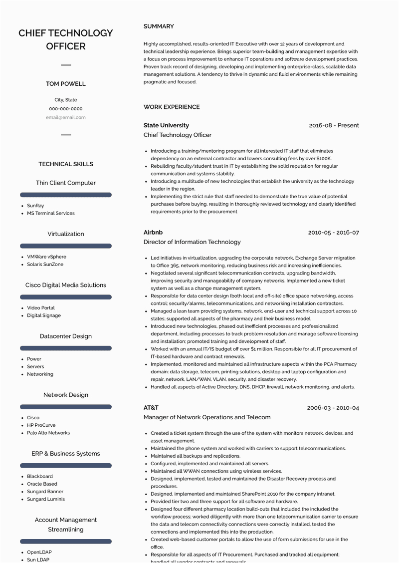 Director Of Information Technology Resume Sample Director Information Technology Resume Samples and