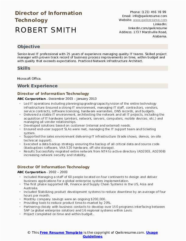 Director Of Information Technology Resume Sample Director Information Technology Resume Samples