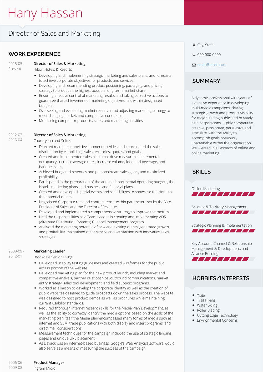 Director Of Sales and Marketing Resume Sample Director Sales and Marketing Resume Samples and