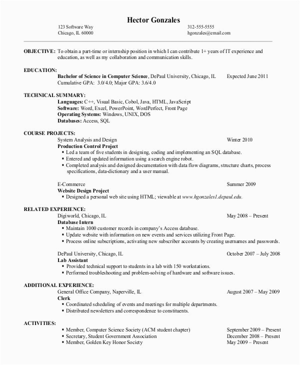 Entry Level It Resume Examples and Samples Resume It