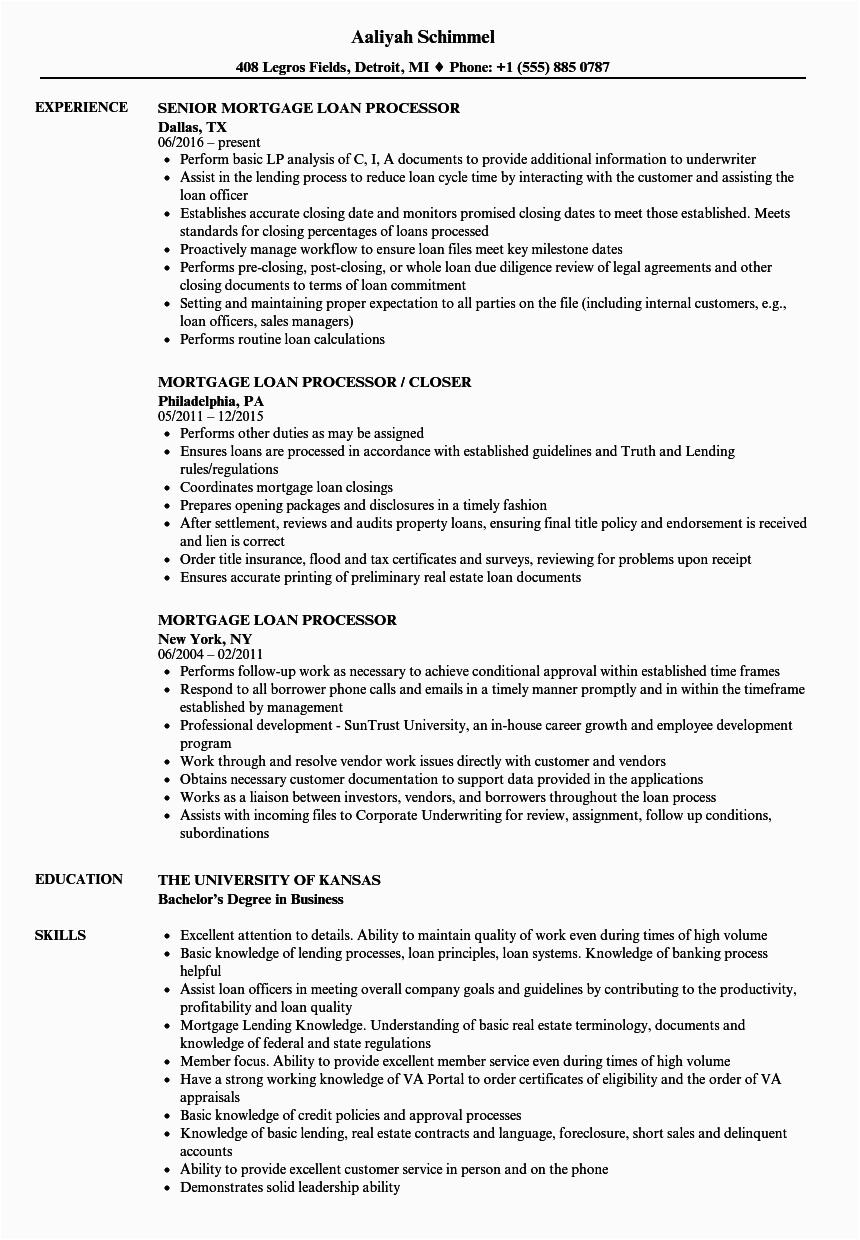 Entry Level Loan Processor Resume Sample Pin On Template Examples