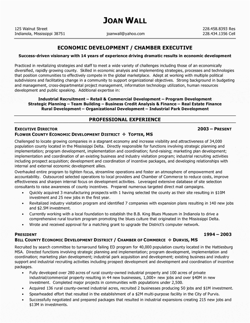 Sample Resume Executive Director Non Profit organization Non Profit Executive Resume