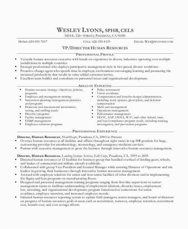 Sample Resume for Experienced Hr Executive 24 Best Executive Resume Templates Pdf Doc