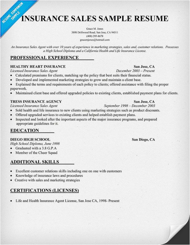 Sample Resume for Life Insurance Sales Manager Insurance Sales Resume Sample Resume Panion
